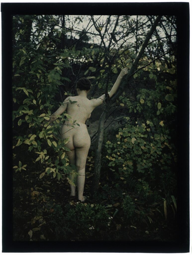 Naked woman in the woods, color, France, 1910s - PICRYL - Public Domain  Media Search Engine Public Domain Search