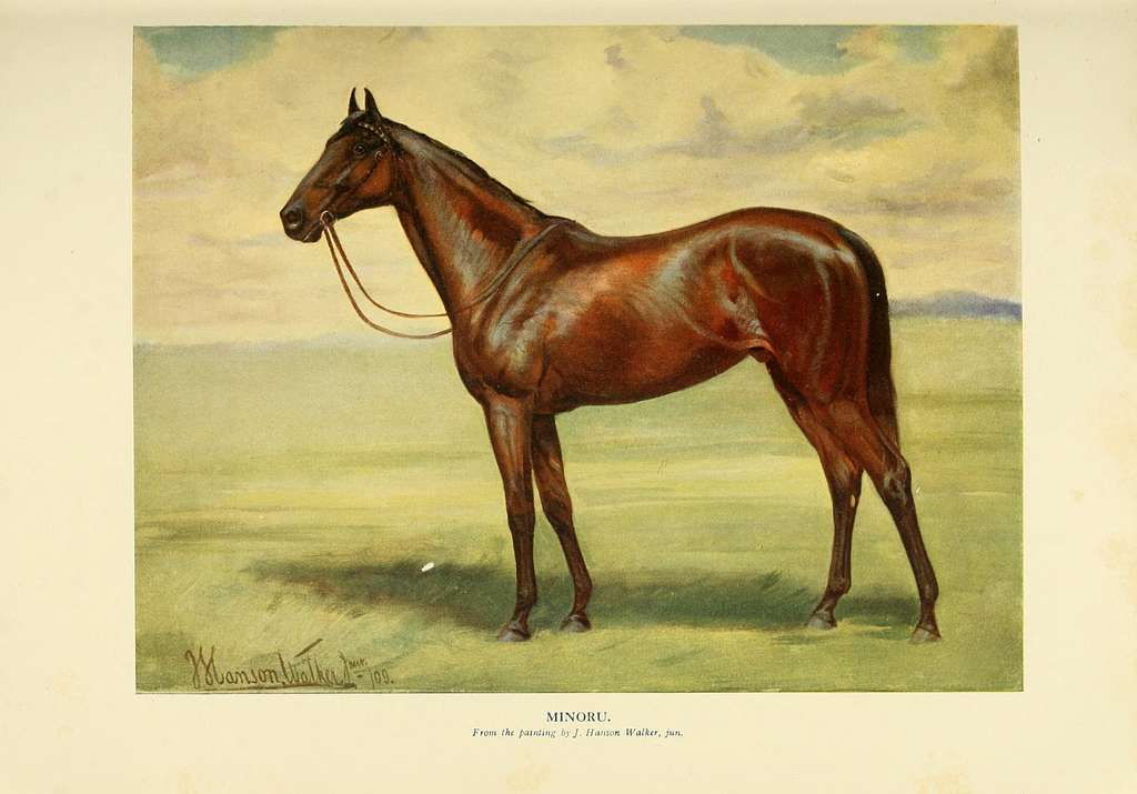 My kingdom for a horse! - Biodiversity Heritage Library