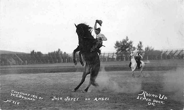 Gentlemen Bronc-anuss Broncos T-Shirt