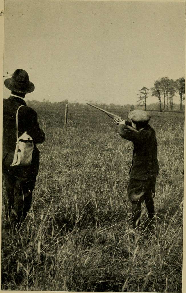 The boys' book of hunting and fishing;