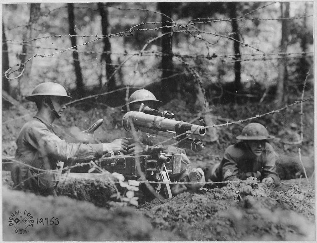 Canon d'Infanterie de 37 modèle 1916 TRP, Turtledove