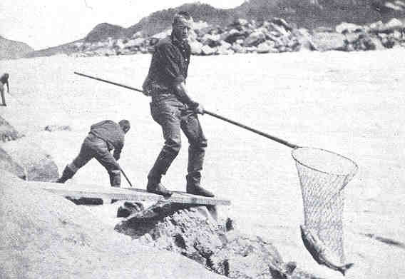 FMIB 33297 Dip-Net Fishing by Indians on the Fraser River - PICRYL - Public  Domain Media Search Engine Public Domain Search