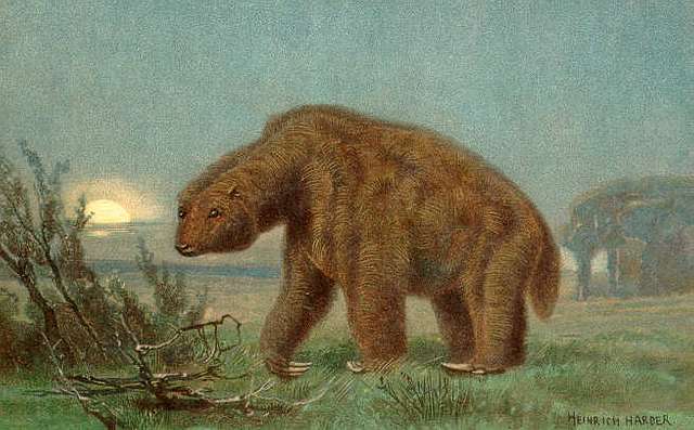 prehistoric predators bear