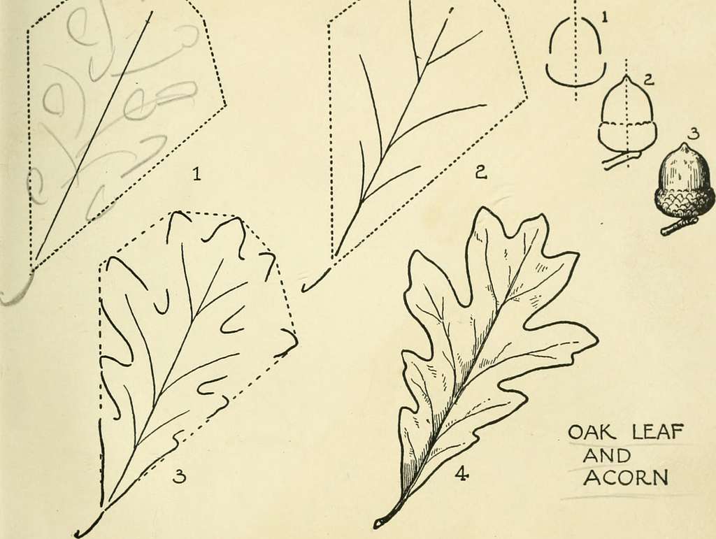 What to draw and how to draw it : Lutz, Edwin George, b. 1868