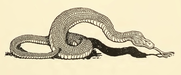 A Crocodile Devouring a Water Snake - Google Art Project - PICRYL - Public  Domain Media Search Engine Public Domain Search