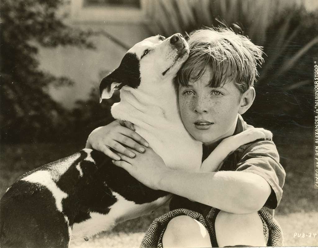 45 Boys with dogs Images: PICRYL - Public Domain Media Search Engine Public  Domain Search