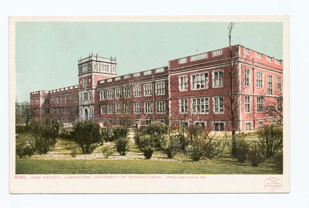 New Medical Laboratory, Univ. of Penna., Philadelphia, Pa (NYPL  b12647398-67601) - PICRYL - Public Domain Media Search Engine Public Domain  Search