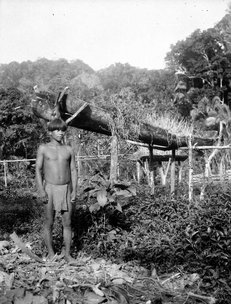 Indian bredvid sin odling i en gammal kanot. Choco, Cocalito. Colombia ...