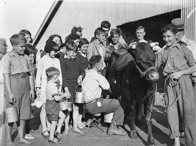 https://cdn2.picryl.com/photo/1934/12/31/childrens-day-free-milk-straight-from-the-cow-royal-easter-show-sydney-c1930s-a15c85-640.jpg
