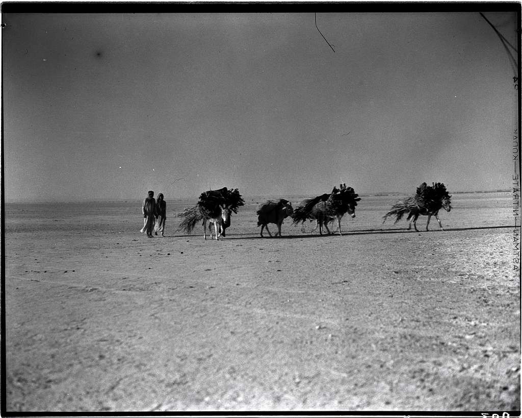 Jubail, Saudi Arabia by Mountain, 1935 11 - PICRYL - Public Domain ...