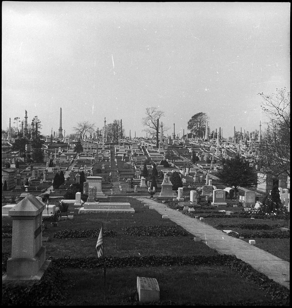 File:Terre-Aux-Boeufs Cemetery Mch 2012 Fernandez Torres.JPG - Wikimedia  Commons