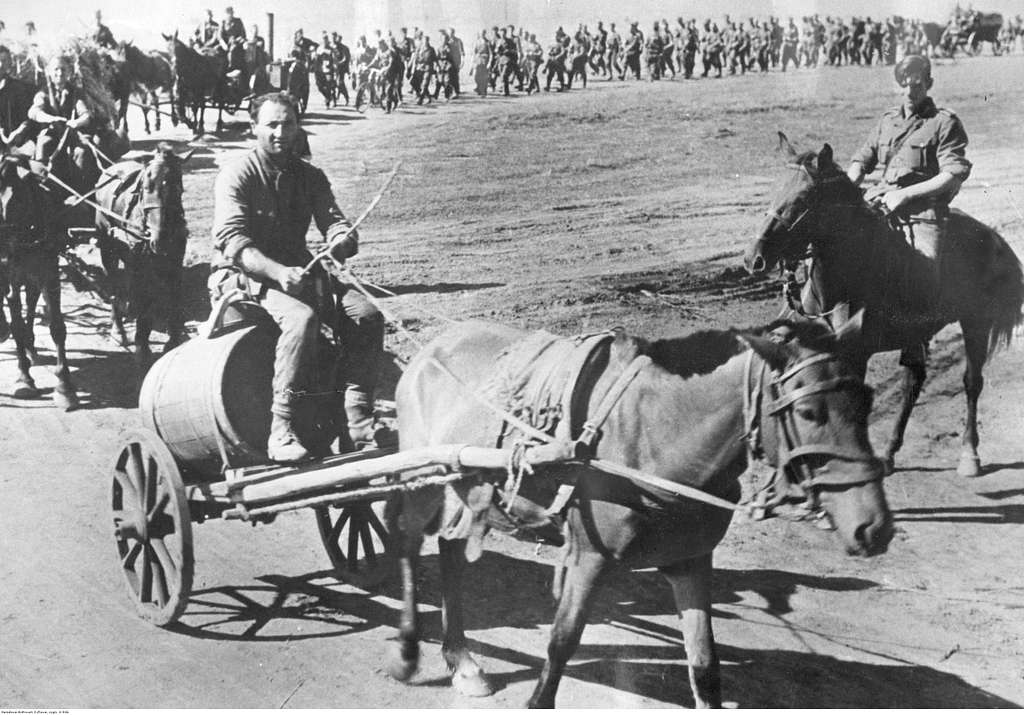 Kolumna piechoty niemieckiej w marszu na Stalingrad (2-936) - PICRYL ...