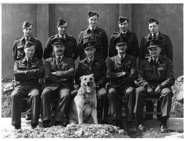 550 Squadron Flight Commanders And Leaders May 1945 - PICRYL Public ...