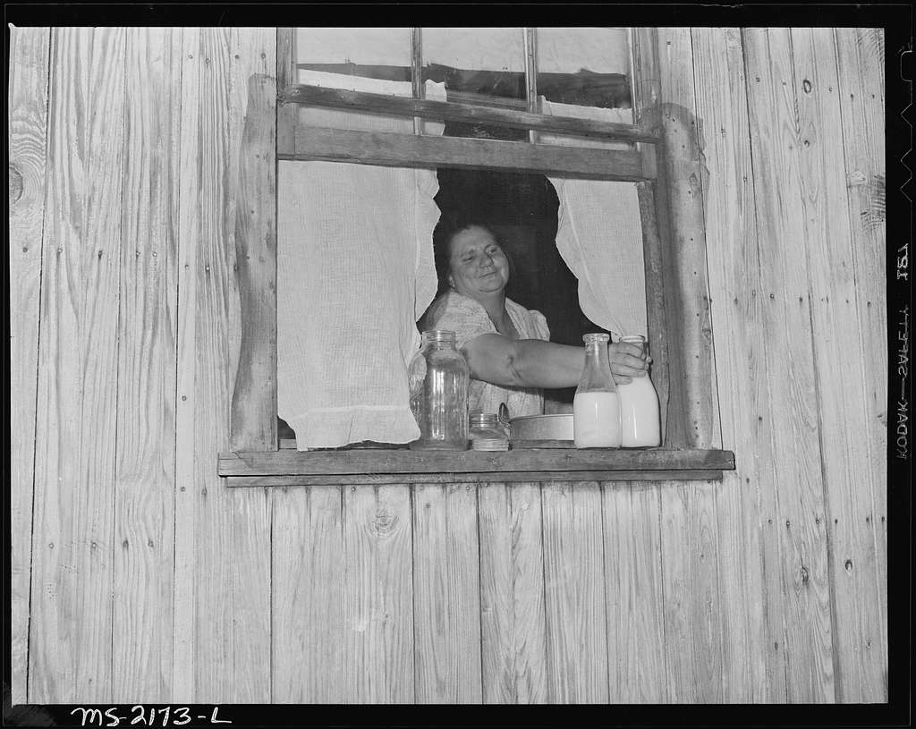 Mrs. Gillie Treadway, wife of a miner, getting milk from her kitchen ...