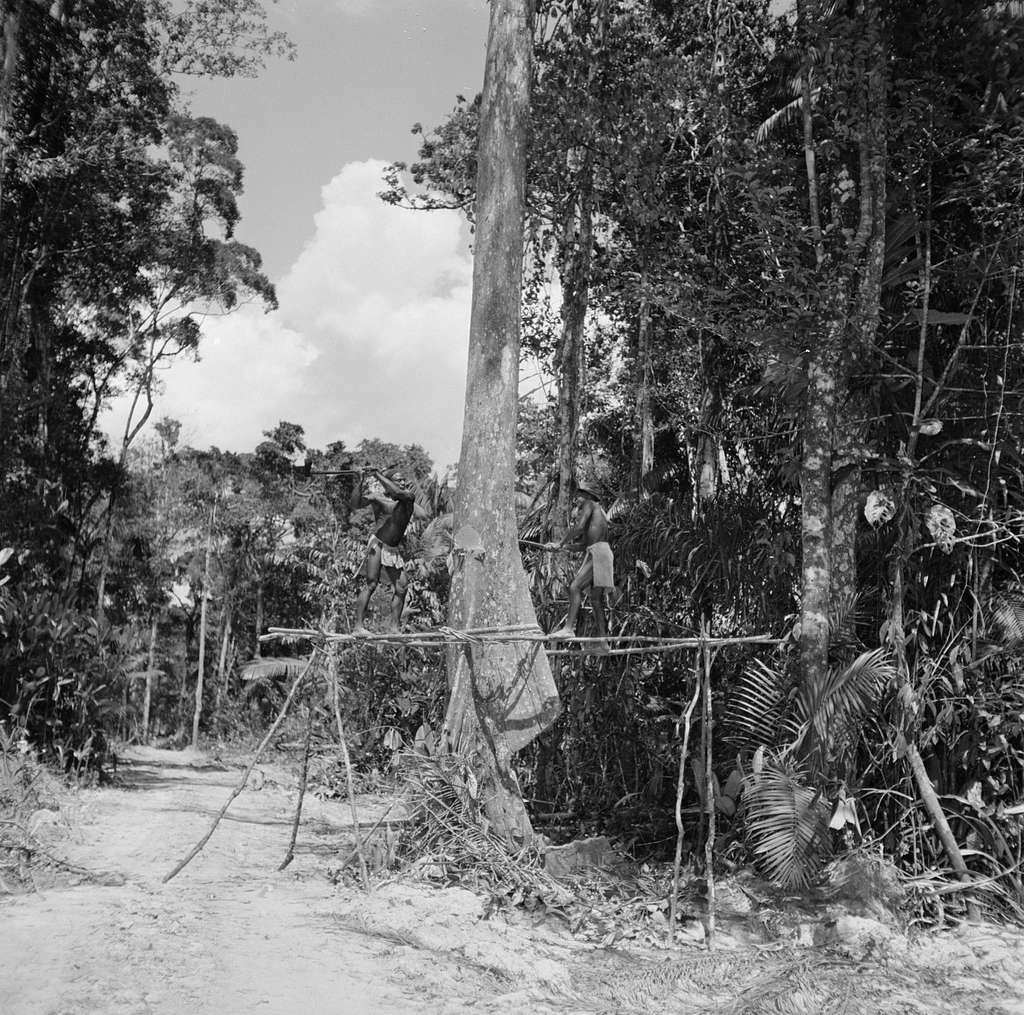 Nederlandse Antillen En Suriname Ten Tijde Van Het Koninklijk Bezoek