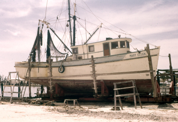 https://cdn2.picryl.com/photo/1961/12/31/shrimp-boat-mary-ellen-ft-myers-31f076-small.jpg