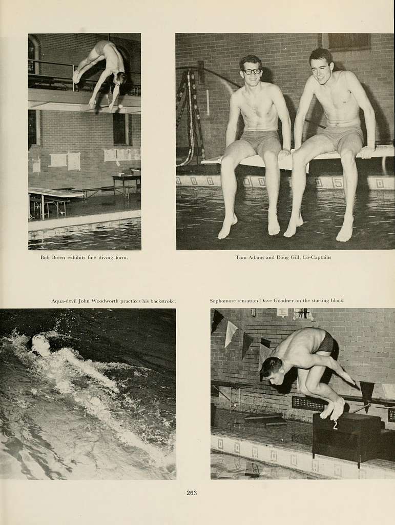 44 Topless male swimmers Images: PICRYL - Public Domain Media Search Engine  Public Domain Search