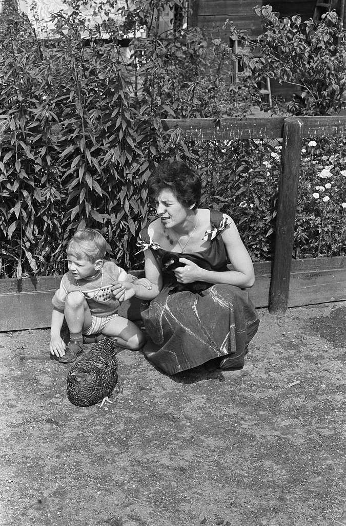 Prinsessen Irene en Margriet terug uit de West, opdracht - PICRYL ...