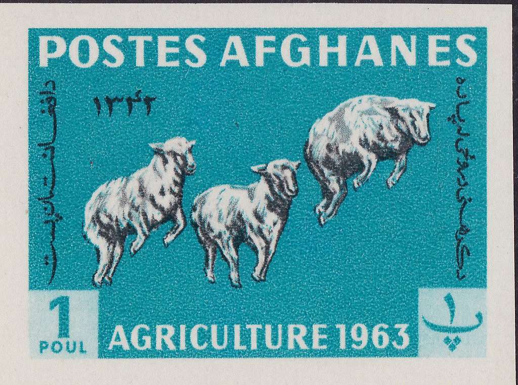 Stamp of Afghanistan - 1963 - Colnect 647358 - Karakul Sheep Ovis ammon ...