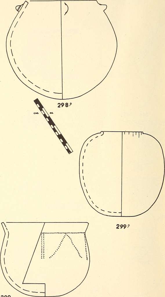 Annals of the South African Museum = Annale van die Suid-Afrikaanse Museum.  Natural history. 156 ANNALS OF THE SOUTH AFRICAN MUSEUM don possessed a  well-developed and functional depressor mandibulae in spite