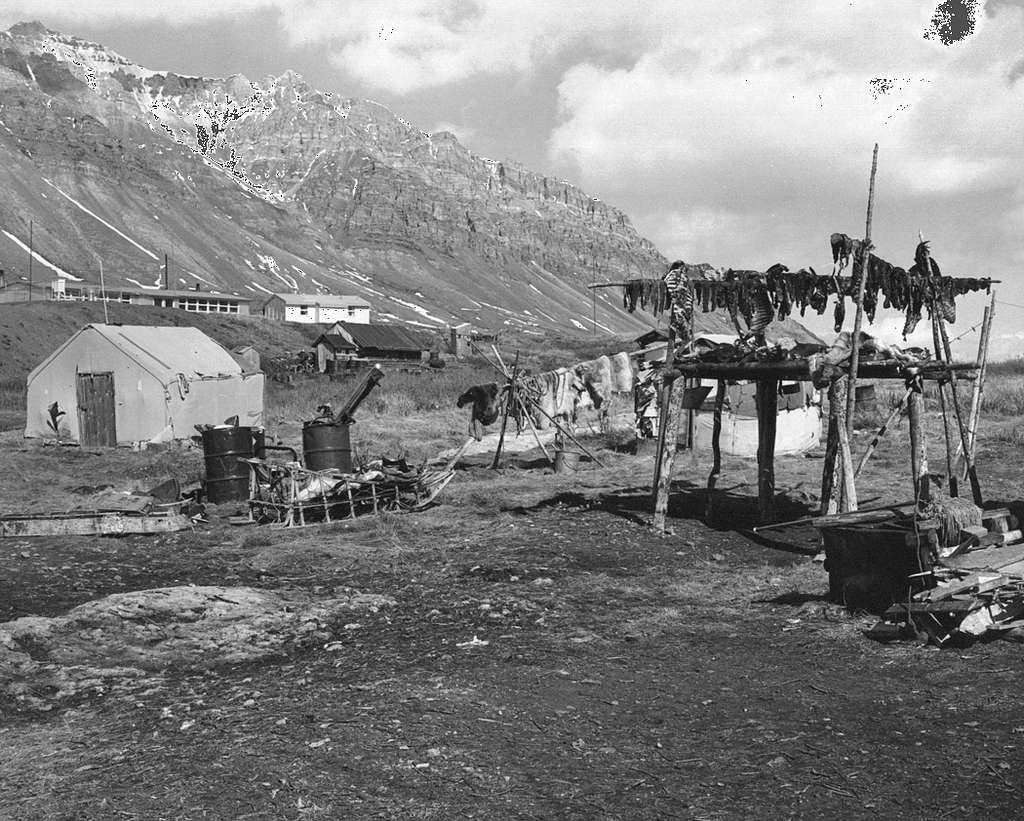 File:Eskimo family next to yaranga (hide tent) with dog in foreground,  Seward Peninsula, Alaska, between 1908 and 1915 (AL+CA 6449).jpg -  Wikimedia Commons