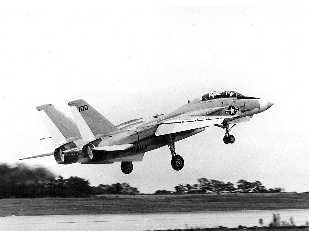 100th F-14 Tomcat produced taking off in 1974 - PICRYL - Public Domain ...