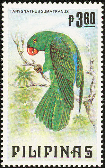 Tanygnathus sumatranus 1984 stamp of the Philippines - PICRYL Public ...