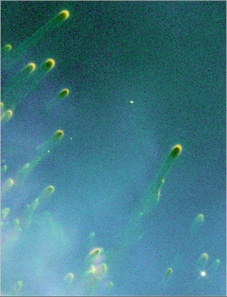 https://cdn2.picryl.com/photo/1994/12/31/cometary-knots-around-a-dying-star-1024.jpg