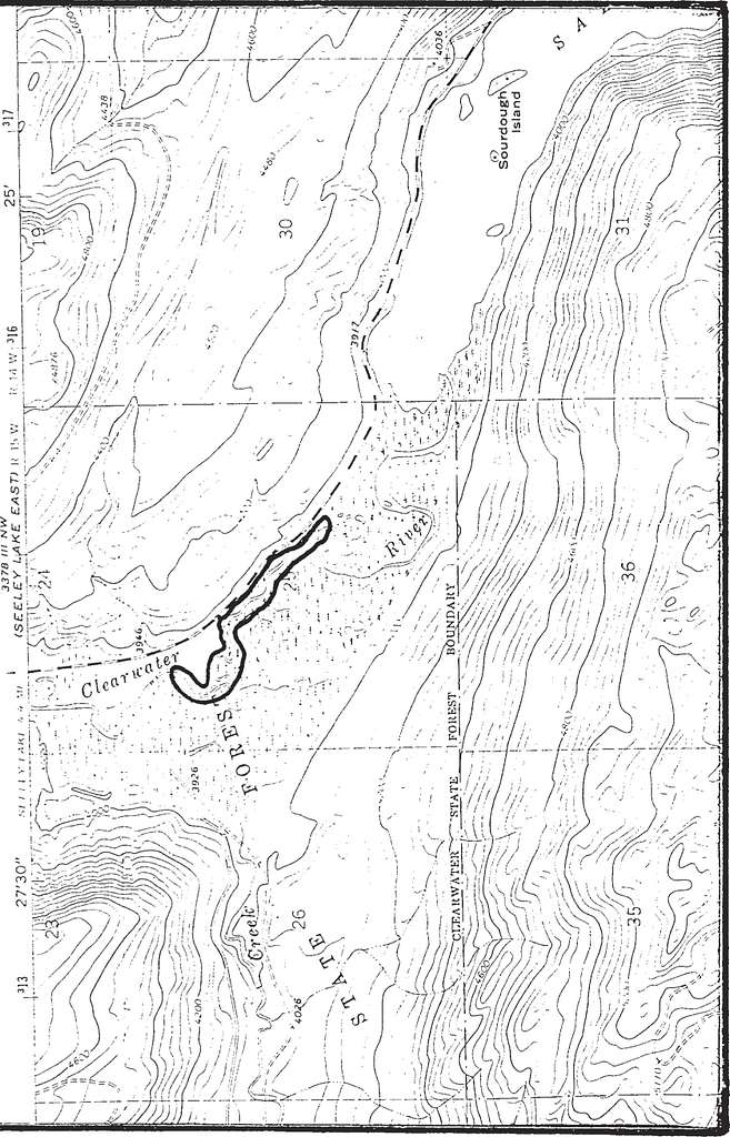 Photograph, Northern Bog Lemming