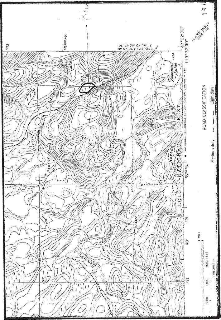 Photograph, Northern Bog Lemming