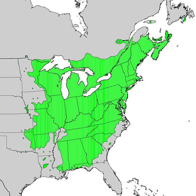 Amelanchier arborea map - PICRYL - Public Domain Media Search Engine ...