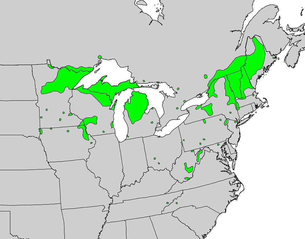 Amelanchier sanguinea range map - PICRYL Public Domain Search