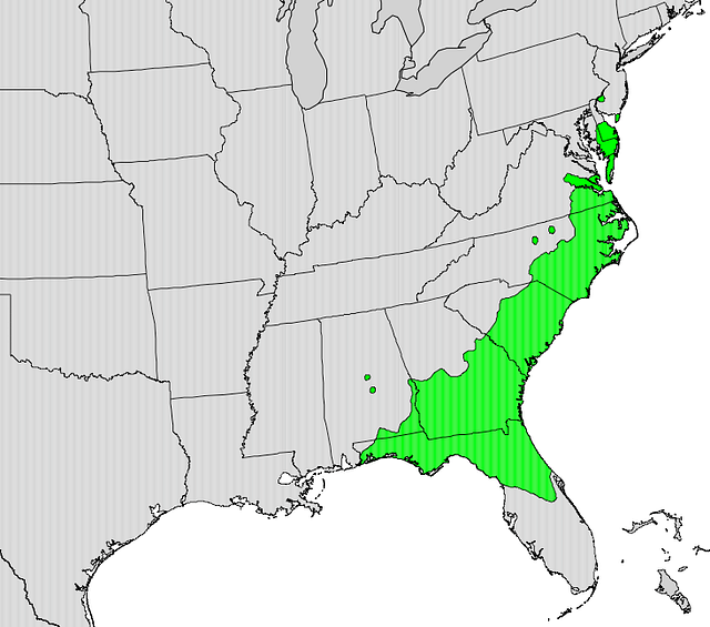 Pinus serotina map - PICRYL - Public Domain Media Search Engine Public ...