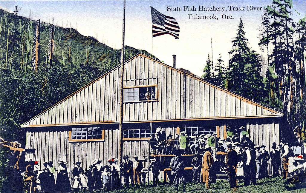 Trask River State Fish Hatchery Tillamook Ore. 22702386126