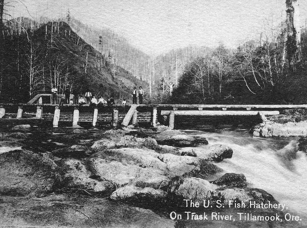 U.S. Fish Hatchery on Trask River Tillamook Ore. 22714843072