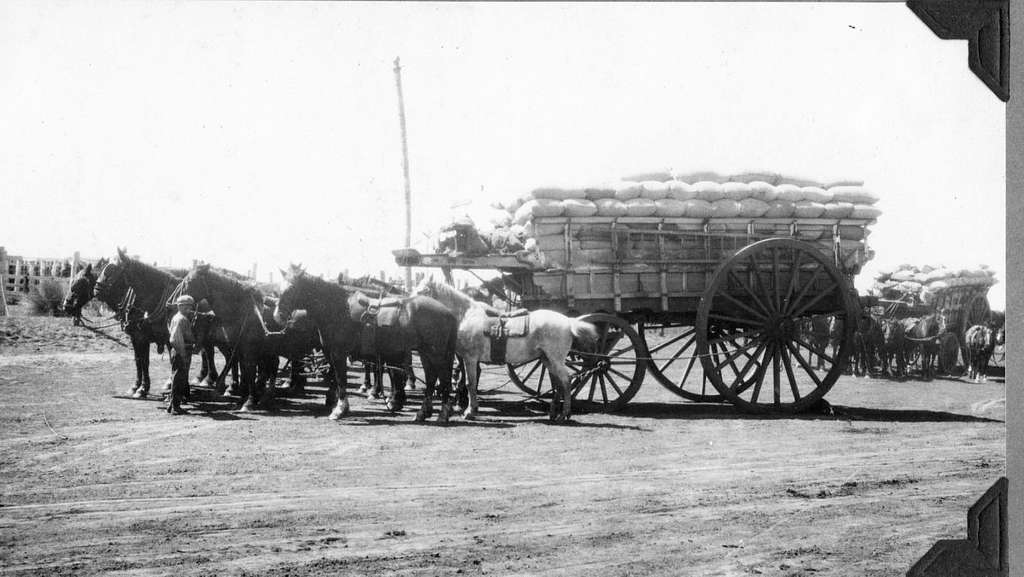 Family on Horse Pulled Cart in Cordoba City, Argentina Editorial Stock  Photo - Image of neighborhood, family: 192831243