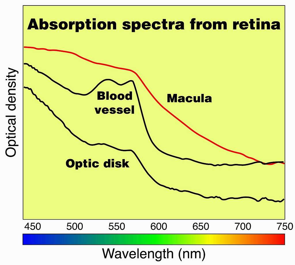 Optical Density Chart. NASA public domain image colelction. - PICRYL ...