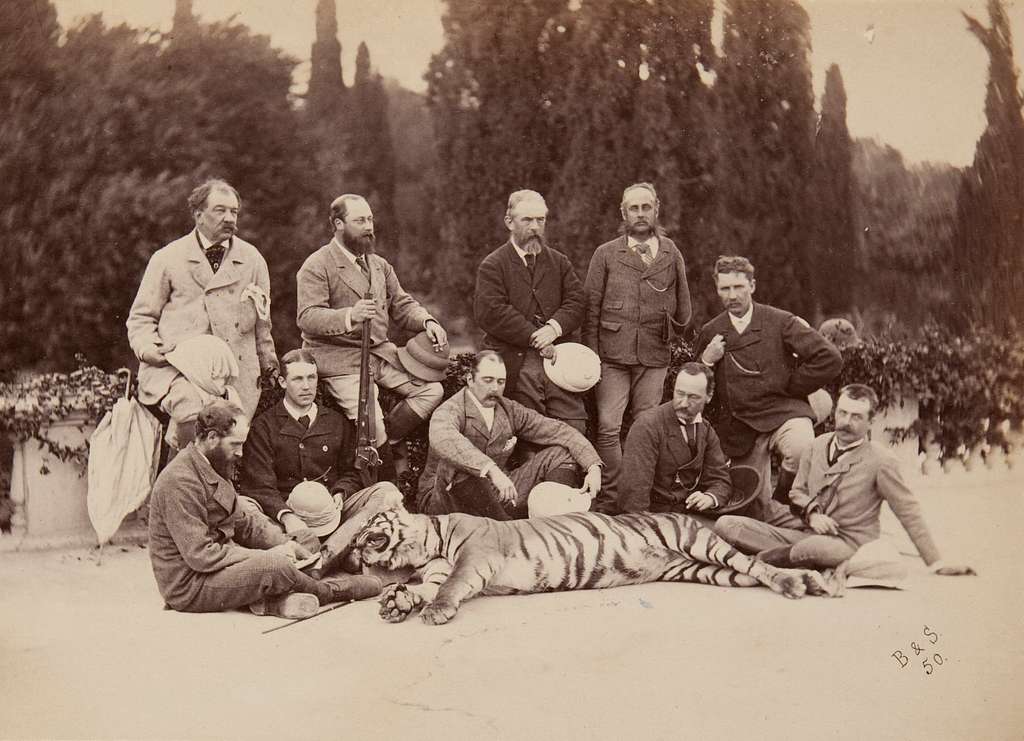 Image of King George V Shooting Tigers in Nepal, 1911 (b/w photo