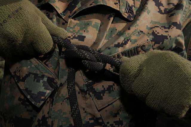 U.S. Marine Corps Cpl. Tony Todd, a rifleman with Alpha - PICRYL - Public  Domain Media Search Engine Public Domain Search