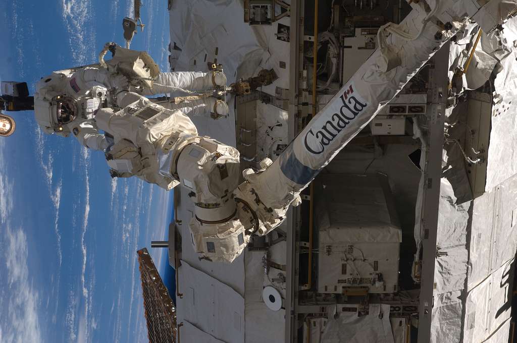 STS-119 Extravehicular Activity EVA 3 GAT SSRMS LEE B Snare Lubrication ...