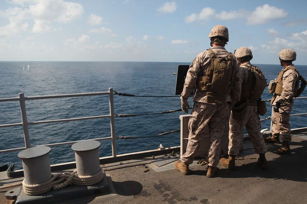 A Marine with Company L, Battalion Landing Team 3/8, - PICRYL - Public ...