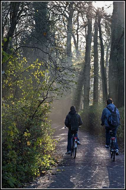 Twee Fietsers Op Het Fietspad Door De Hout. Fotoserie Van Gevelstenen ...