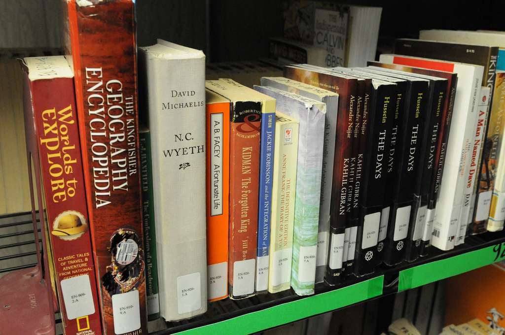 Hundreds of books in several languages line the shelves - PICRYL