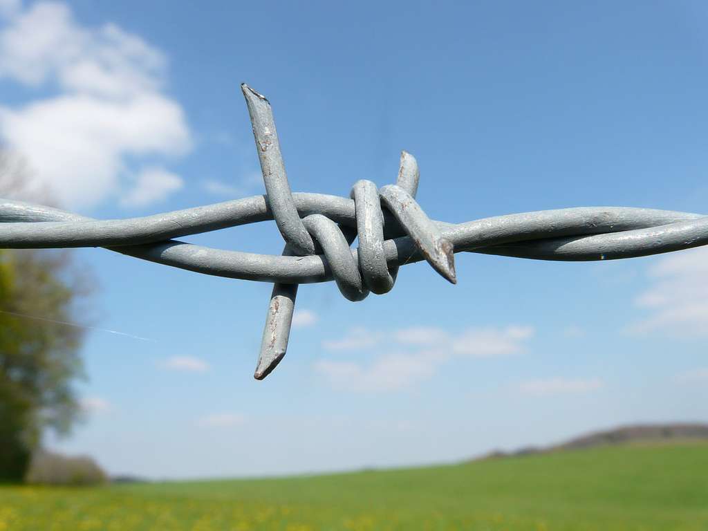 A piece of barbed wire sticks out of the ground on - PICRYL - Public Domain  Media Search Engine Public Domain Search