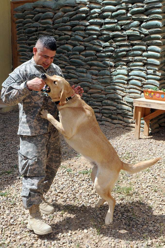 Maj. Carlos Esparra, the mobility land chief with the - NARA & DVIDS ...