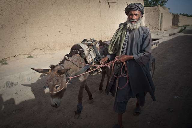 A local Afghan man guides his donkey down a street - NARA & DVIDS ...