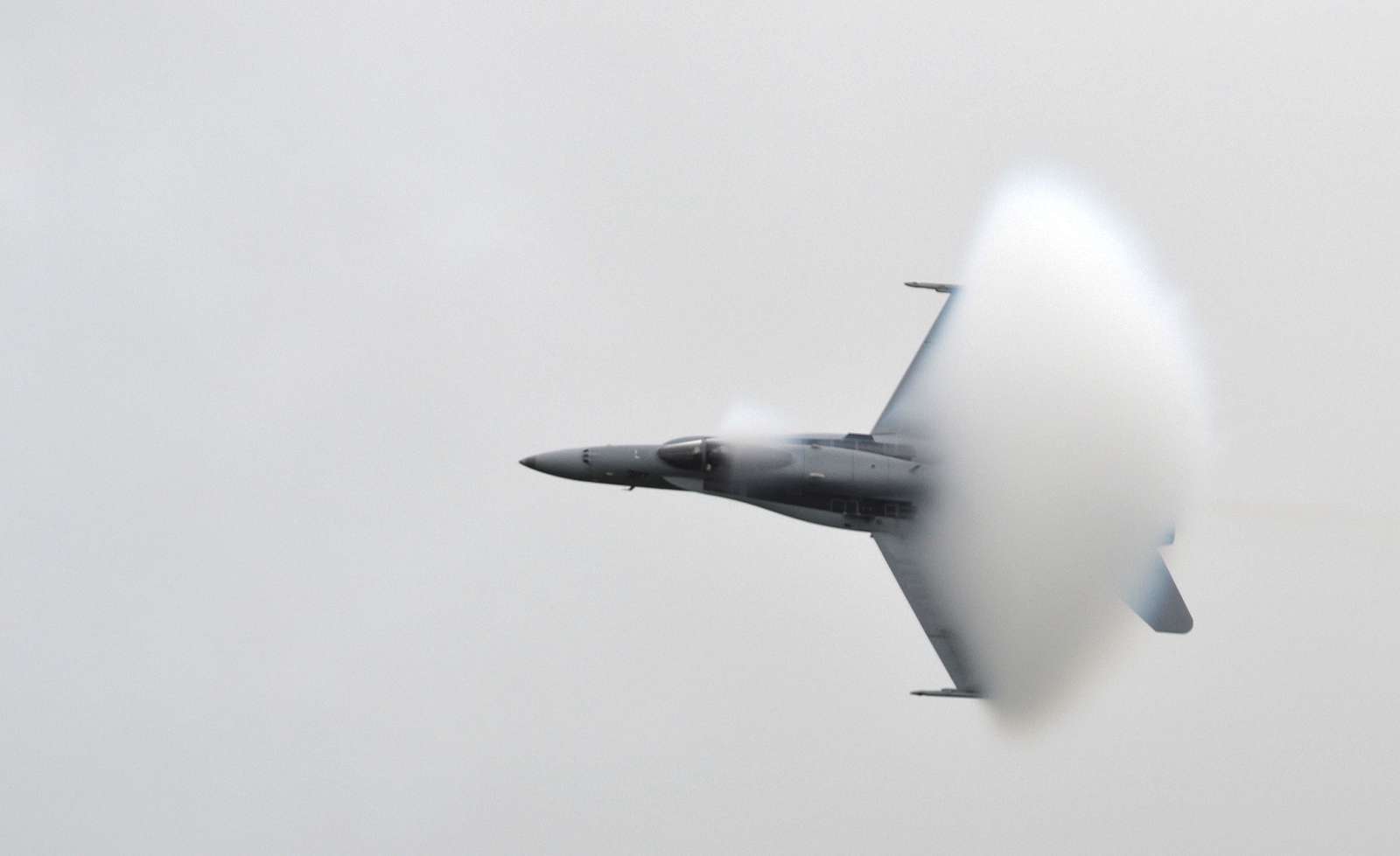 An F/A-18 Hornet from the East Coast Hornet Demonstration - NARA ...