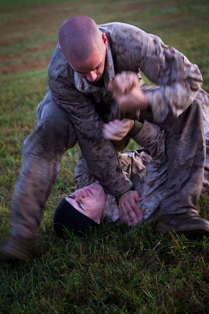 A recruit from Mike Company, 3rd Recruit Training Battalion, applies a choke  hold during a Marine Corps Martial Arts Program test at Marine Corps  Recruit Depot San Diego, July 20. The recruits