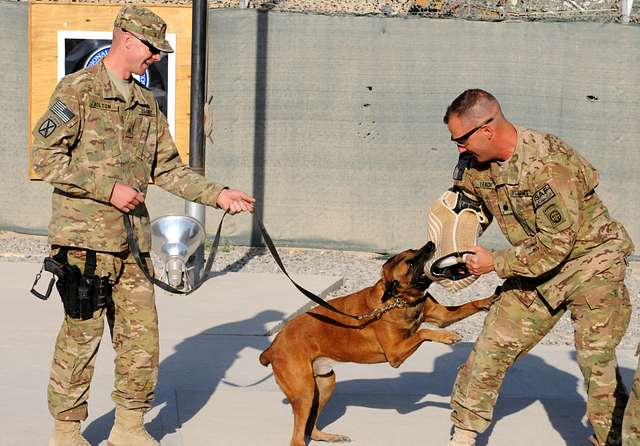 Lt. Col. David J. Leach, commander Headquarters Headquarters - PICRYL ...