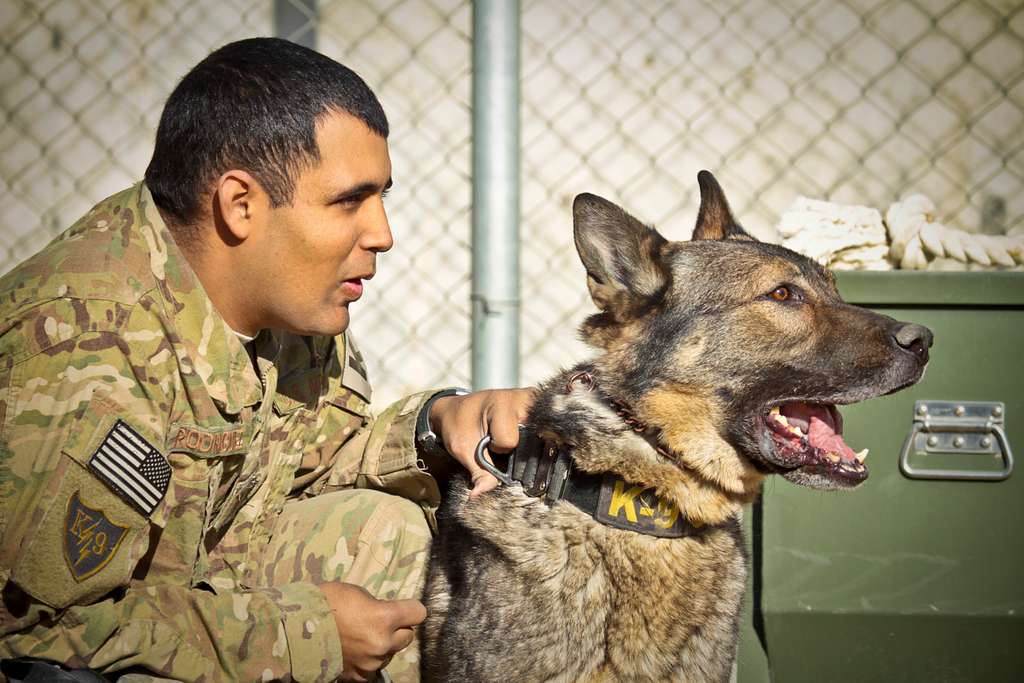 U.S. Air Force Staff Sgt. Manuel Rodriguez and his - PICRYL - Public ...